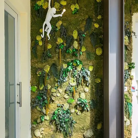 Aeterno Eco Guest house